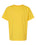 Youth Softstyle® Midweight T-Shirt